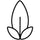 Paraben Free